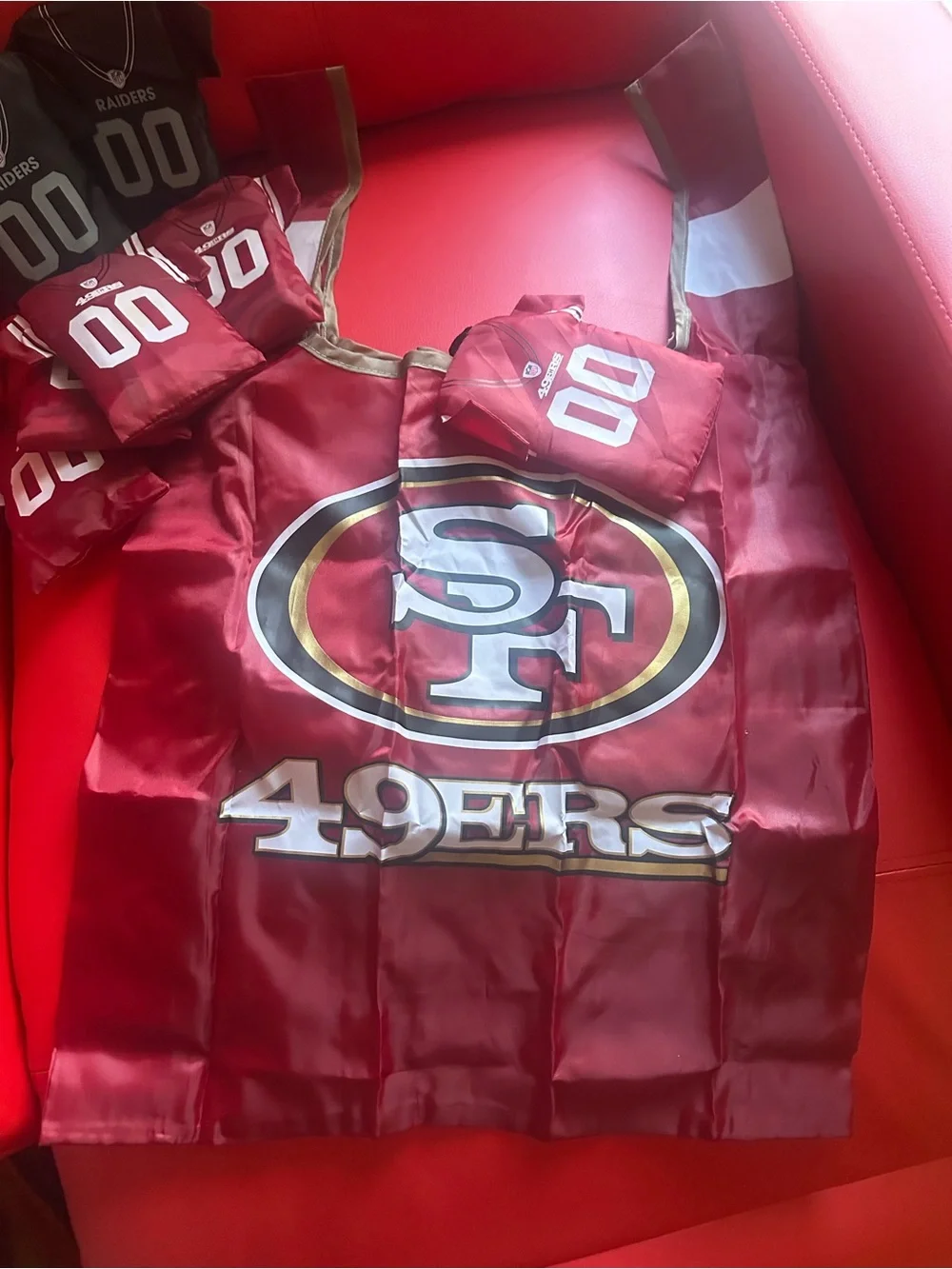 BUNDLE •2 NFL Raiders Nylon Travel Bag•4 NFL 49ers with Holographic NFL Shield•